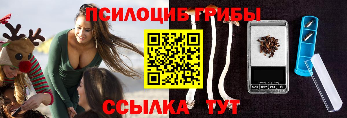 Псилоцибиновые грибы прущие грибы Троицк