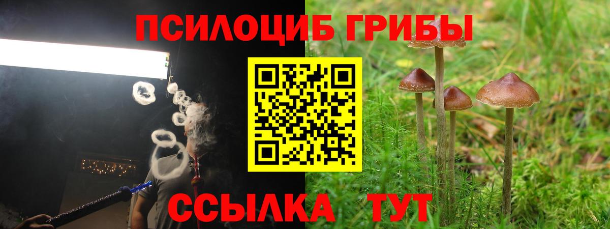 Галлюциногенные грибы Cubensis  Галлюциногенные грибы ЛСД  Троицк  Вход с VPN 